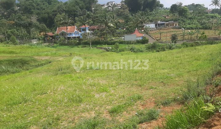 Tanah Shm Di Jual Di Puncak Bogor Tanah Shm Di Jual Di Puncak Bogor
