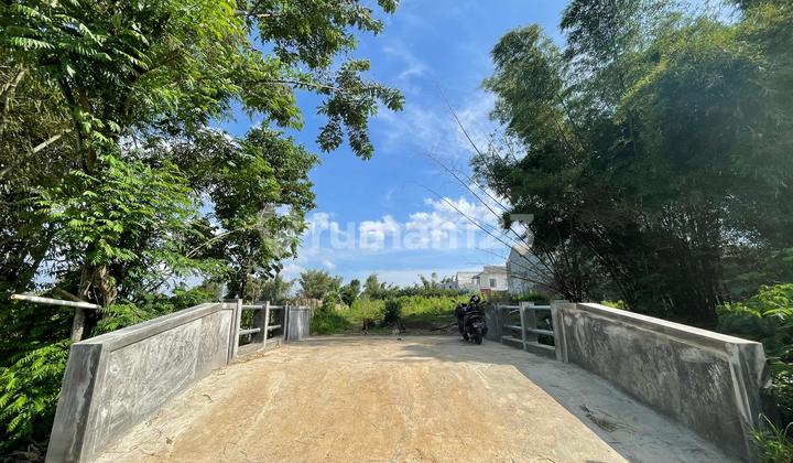 Tanah Di Dekat IIBS Thursina, Serifikat SHM Tanah Di Dekat IIBS Thursina, Serifikat SHM