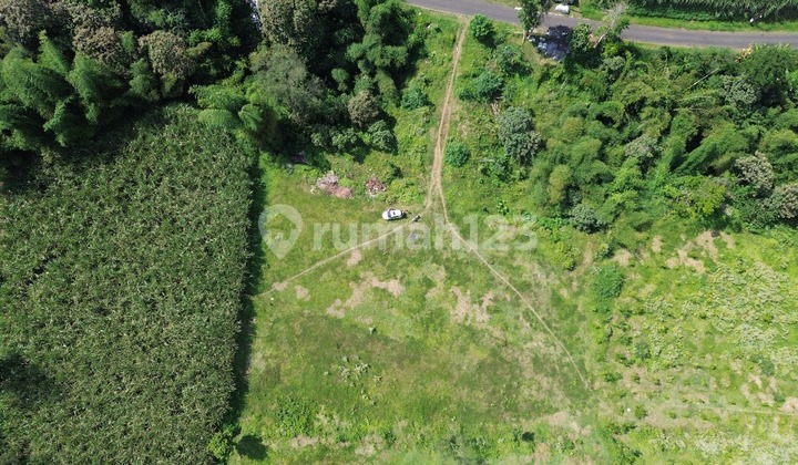 Spacious Land in Wagir Malang, Suitable for Residence or Investment. Spacious Land in Wagir Malang, Suitable for Residence or Investment.