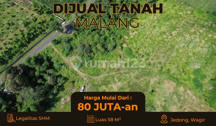 Tanah Dijual di Wagir, Lingkungan Asri, Dekat Fasilitas Umum Tanah Dijual di Wagir, Lingkungan Asri, Dekat Fasilitas Umum