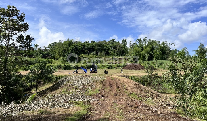Tanah Kavling Murah Malang Lokasi 3 Menit Puskesmas Mulyorejo