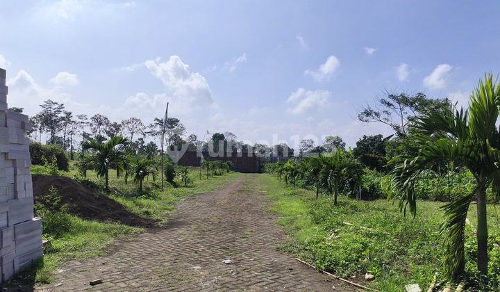 Tanah SHM Dekat Exit Toll Tanah SHM Dekat Exit Toll