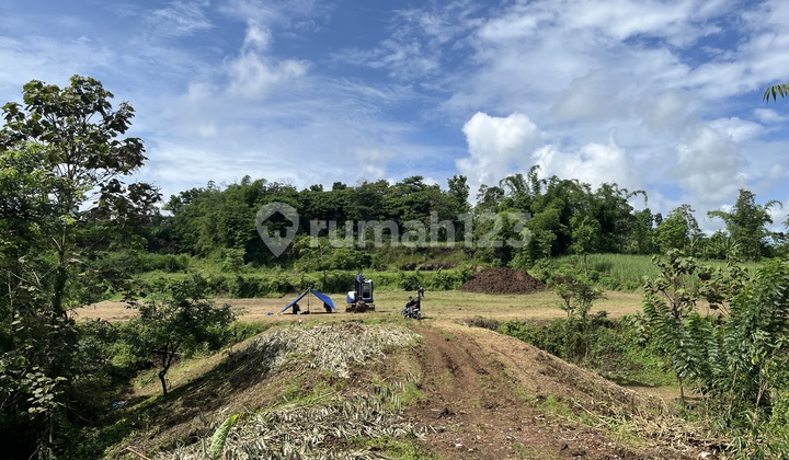 Cheap Land in Malang