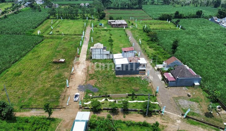 Cheap Land Malang Cheap Land Malang