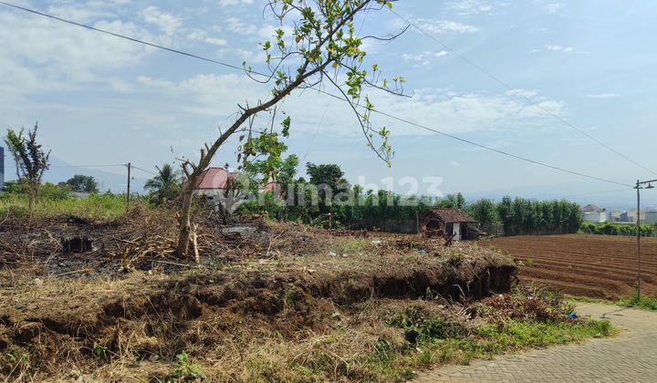 Tanah Murah Malang Lingkunan Perumahan Lokasi di Landungsari
