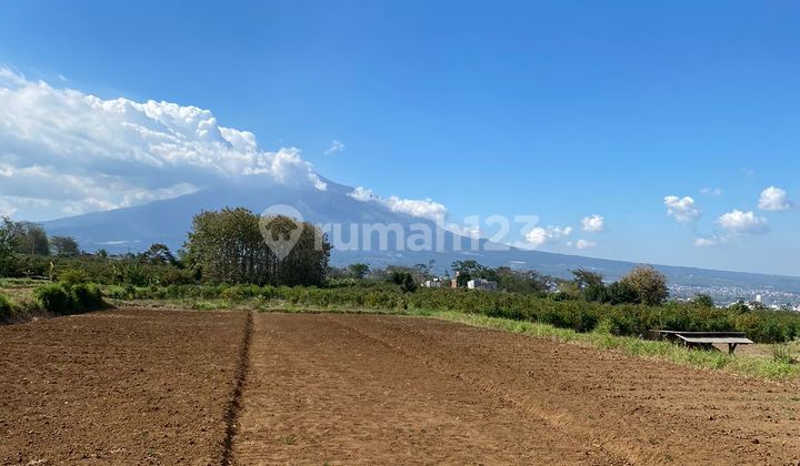 Land in Malang City is suitable for investment due to its low price.