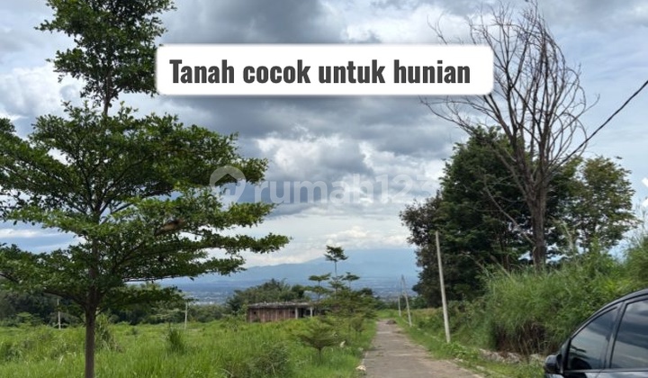 Suitable for residential investment, with an area of 66 m2 with a freehold certificate