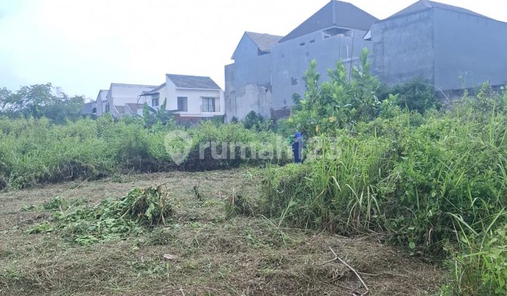 TANAH MURAH DENGAN LOKASI STRATEGIS DI MALANG TANAH MURAH DENGAN LOKASI STRATEGIS DI MALANG