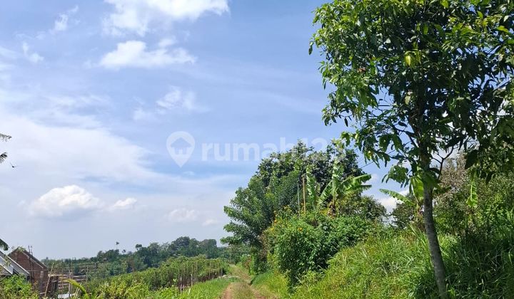 Kavling Malang Murah 7 Menit Kampus UIN 3