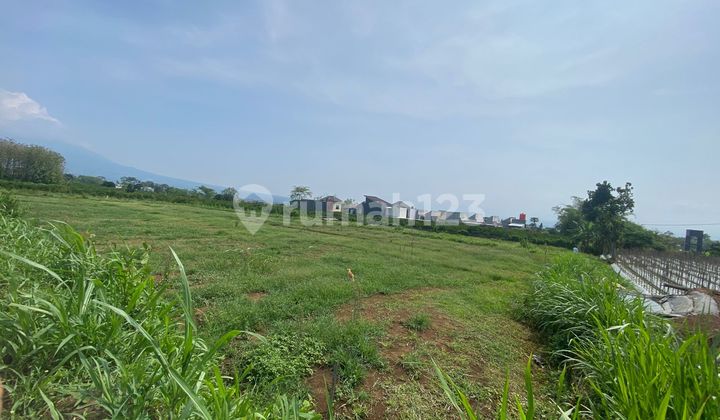 Low-priced plots for sale in Malang City