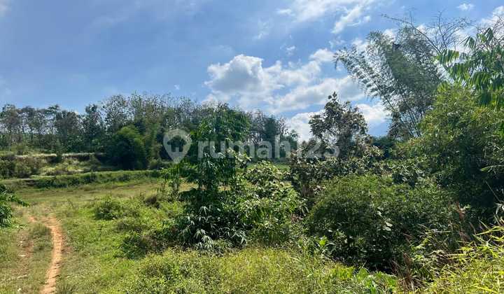 Tanah siap bangun di Malang, dengan udara sejuk 