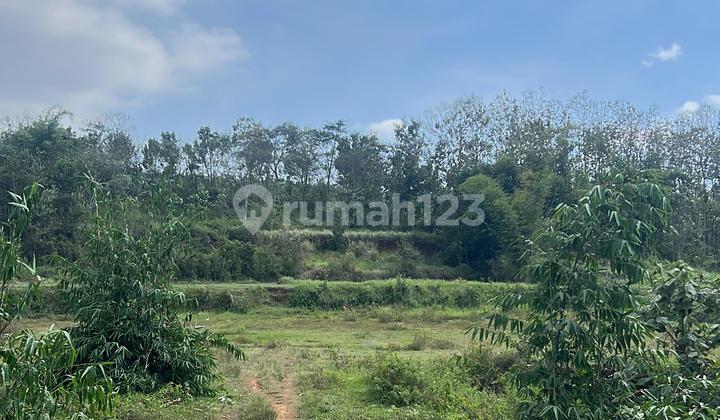 Dijual tanah di Malang SHM dengan luas 60 m2 Dijual tanah di Malang SHM dengan luas 60 m2