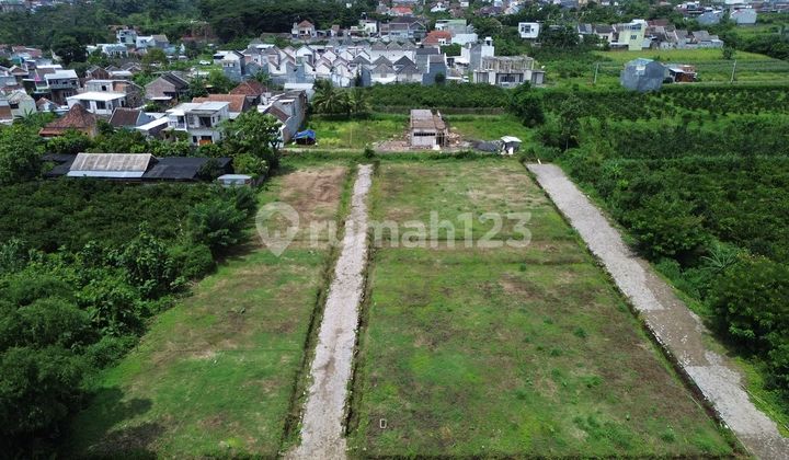 Tanah di Malang, dekat dengan keramaian cocok untuk investasi Tanah di Malang, dekat dengan keramaian cocok untuk investasi