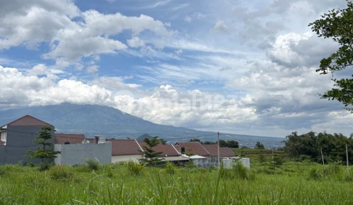 Land suitable for investment, close to tourist attractions.