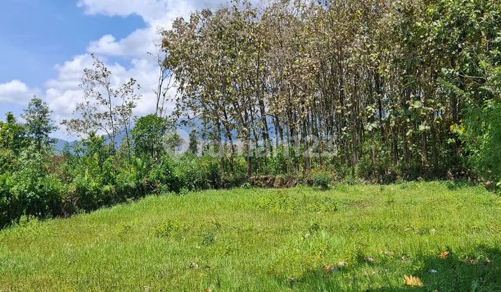 Tanah Kavling 5 Menit dari Kampus UIN 3 Cocok Untuk Investasi SHM