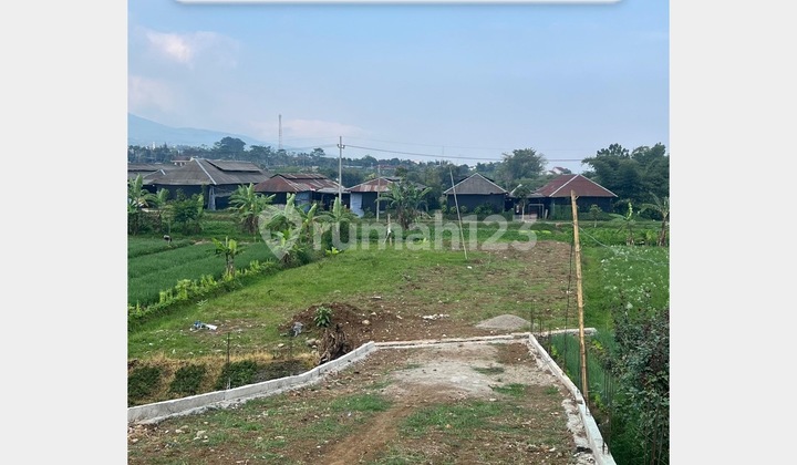 Tanah kavling cocok untuk villa dengan udara sejuk Tanah kavling cocok untuk villa dengan udara sejuk