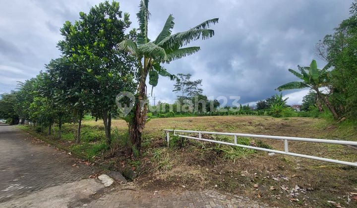 Tanah Malang Strategis Dekat Kampus, 5 Menit Dari Kampus Umm Tanah Malang Strategis Dekat Kampus, 5 Menit Dari Kampus Umm