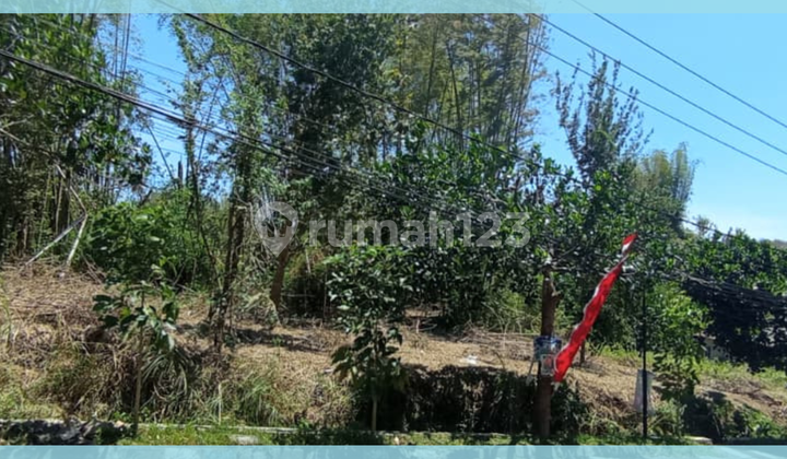 LAND PLOT ON MAIN ROAD FOR QUICK SALE NEAR THURSHINA IIBS