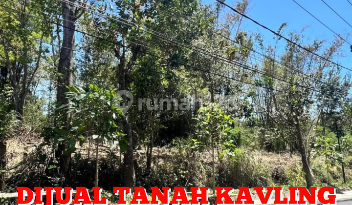 DIJUAL CEPAT TANAH KAVLING POROS JALAN