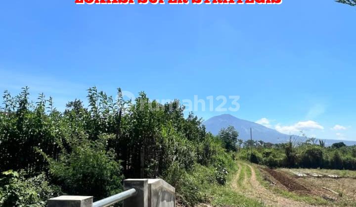 DIJUAL CEPAT TANAH KAVLING KOTA MALANG COCOK UNTUK INVESTASI JANGKA PANJANG DIJUAL CEPAT TANAH KAVLING KOTA MALANG COCOK UNTUK INVESTASI JANGKA PANJANG