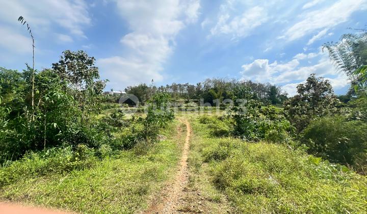 Tanah Strategis Poros Jalan 60 m2 SHM Malang Kota, Malang Tanah Strategis Poros Jalan 60 m2 SHM Malang Kota, Malang