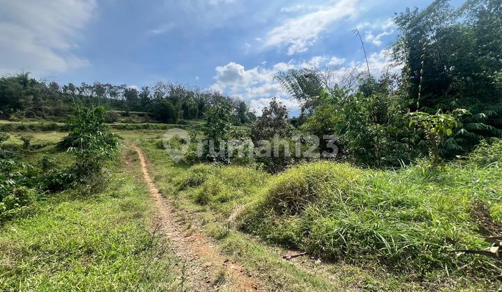 Tanah Kavling Premium 60 m2 SHM Malang Kota, Malang