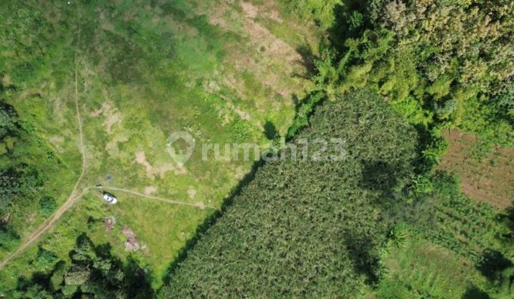 Flood-Free, Land, SHM, Near Public Schools, in Malang City Flood-Free, Land, SHM, Near Public Schools, in Malang City