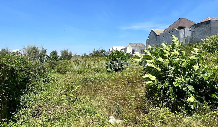 Tanah Cocok Untuk Hunian 75 m2 SHM Malang Kota, Malang