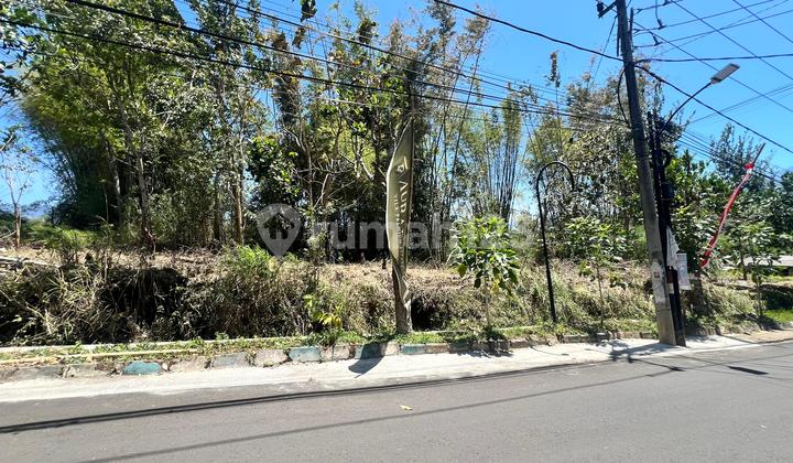 Tanah Poros Jalan Dekat Thursina 100 m2 SHM Malang Kota, Malang Tanah Poros Jalan Dekat Thursina 100 m2 SHM Malang Kota, Malang