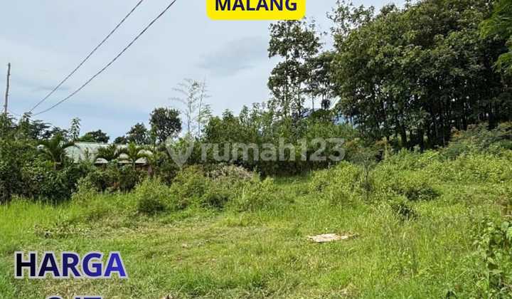Land Suitable for Residential Area Scenic 69 m2 SHM Malang City, Malang