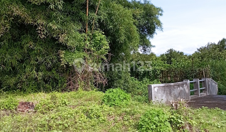 Land Near Tourist Attractions Available with Installment Payments, Freehold Title Land Near Tourist Attractions Available with Installment Payments, Freehold Title