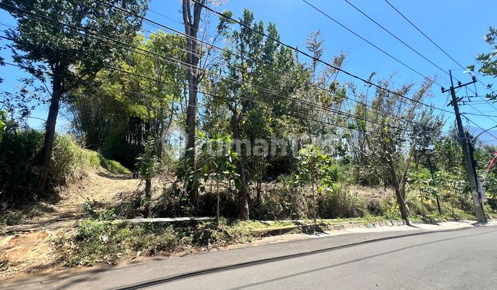 Tanah Poros Jalan Kawasan Kampus 100 m2 SHM Malang Kota, Malang