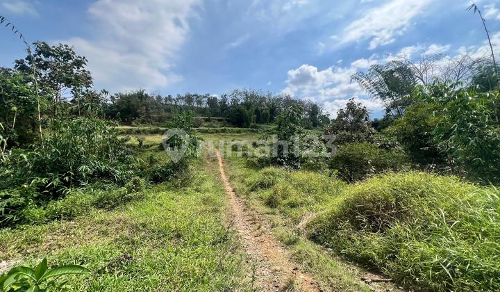 Tanah Prospektif Untuk Usaha 60 m2 SHM Malang Kota, Malang