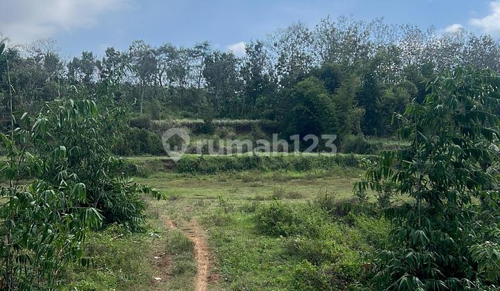 Tanah Poros Jalan Asri 60 m2 SHM Malang Kota, Malang