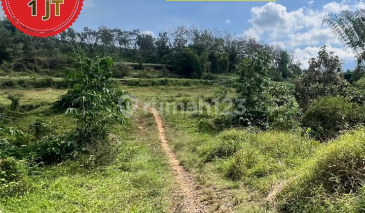 Tanah Cocok Untuk Investasi Hunian 60 m2 SHM Malang Kota, Malang Tanah Cocok Untuk Investasi Hunian 60 m2 SHM Malang Kota, Malang