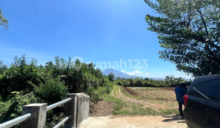 Land Suitable for Investment 75 m2 SHM Malang City, Malang