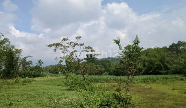 Land in Malang City SHM No Traffic Jams Land in Malang City SHM No Traffic Jams