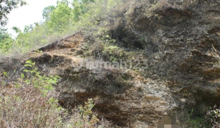 Strategic Large Land - On the Side of Padaherang Provincial Road, Pangandaran Strategic Large Land - On the Side of Padaherang Provincial Road, Pangandaran