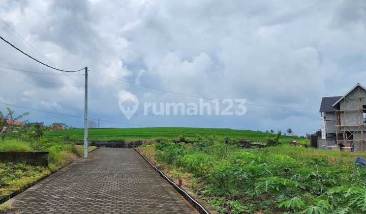 Beautiful land, near the beach in Puri Agung Tabanan.