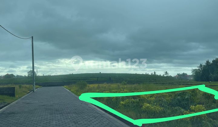 Beautiful land, near the beach in Puri Agung Tabanan.