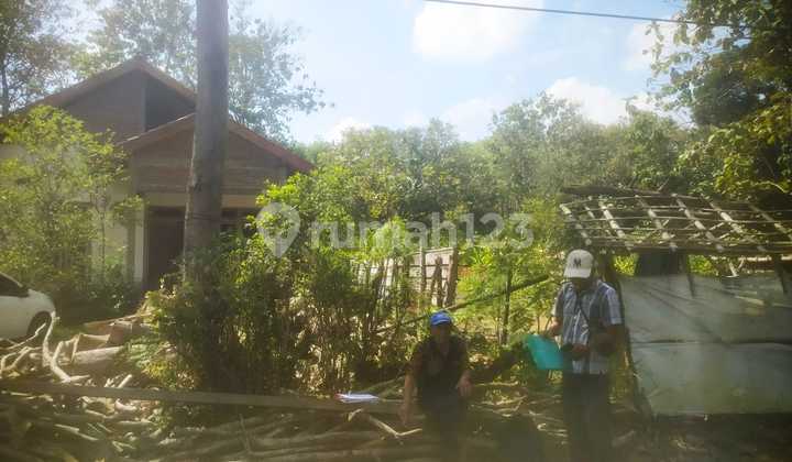 Strategic 1.3 hectare land by the asphalt roadside.