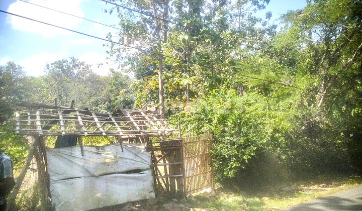 Strategic 1.3 hectare land by the asphalt roadside.