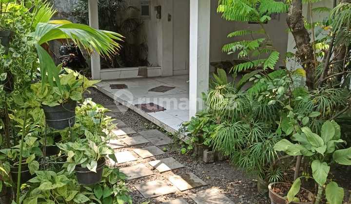 Rumah di kawasan elit (area Punggawan), Banjarsari, Solo 1