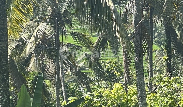 Tanah Dengan View Sawah Dan Laut Cocok Untuk Villa Komersil Di Tabanan Bali