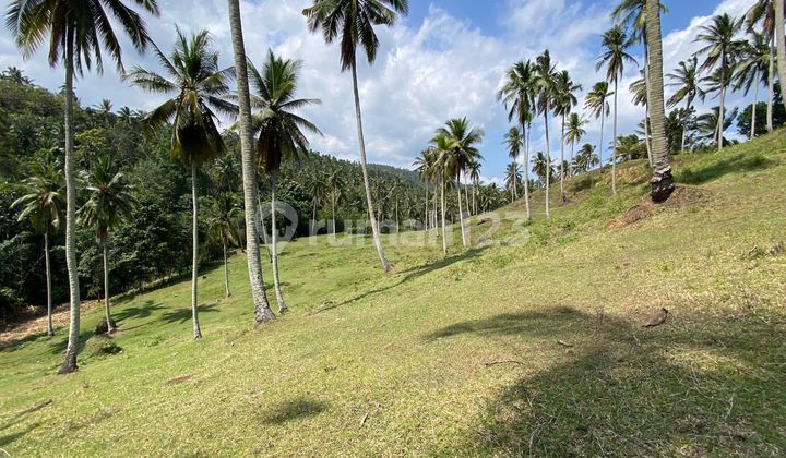 Buc Tanah Dekat Pantai Di Kawasan Pariwisata Tabanan Bali Buc Tanah Dekat Pantai Di Kawasan Pariwisata Tabanan Bali