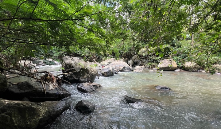 Tanah Los Sungai View Sawah Dekat Wisata Jatiluwih Tabanan Bali Tanah Los Sungai View Sawah Dekat Wisata Jatiluwih Tabanan Bali