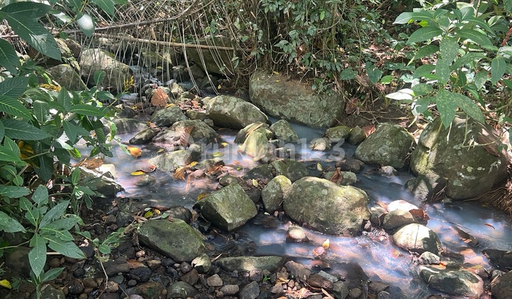 Tanah Kebun Murah Di Tabanan Bali Dengan View Jungle Los Sungai