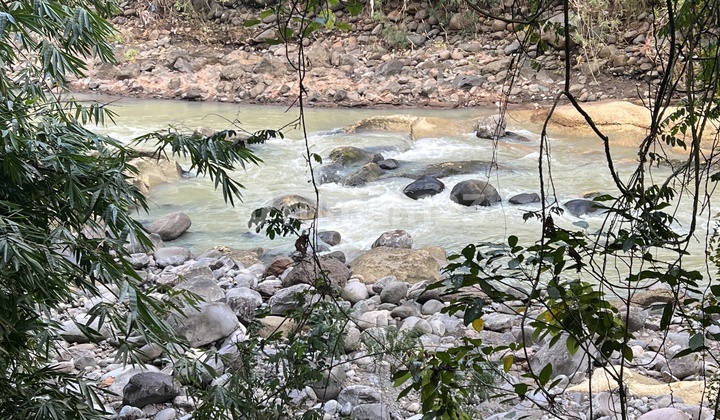 Tanah Kebun Murah View Sungai Di Tabanan Bali