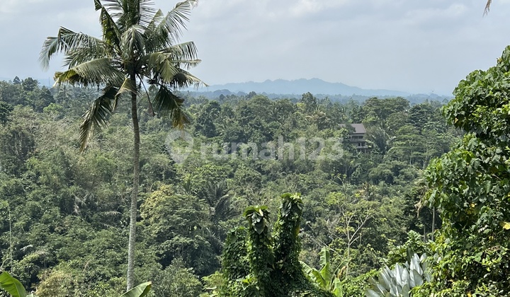 Land in Tabanan Bali Cheap Mountain View Tourist Area