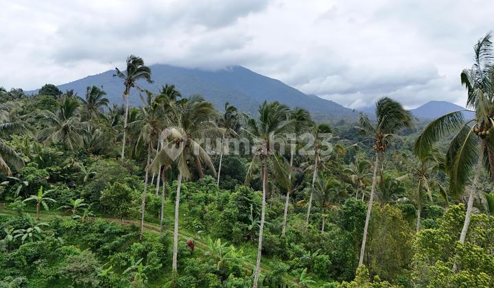 Tanah Dengan View Gunung Dan Sawah Di Tabanan Bali Buc 